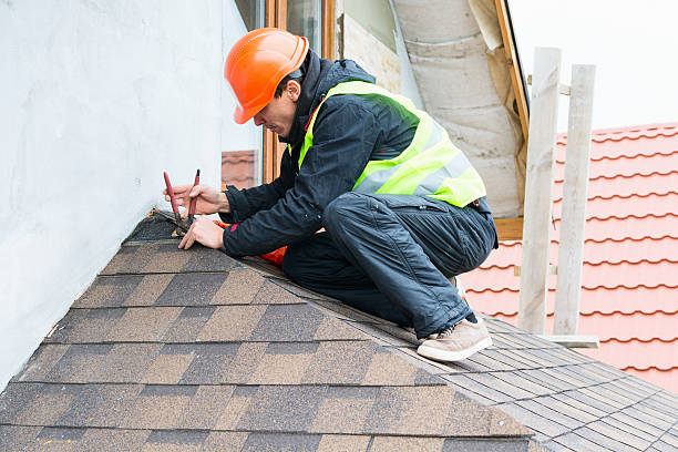 Best Metal Roofing Contractor  in Ferdand, IN