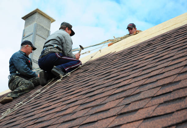 Best Slate Roofing Contractor  in Ferdand, IN